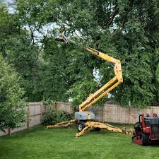 Best Artificial Turf Installation  in Tusculum, TN