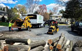 Best Commercial Tree Services  in Tusculum, TN